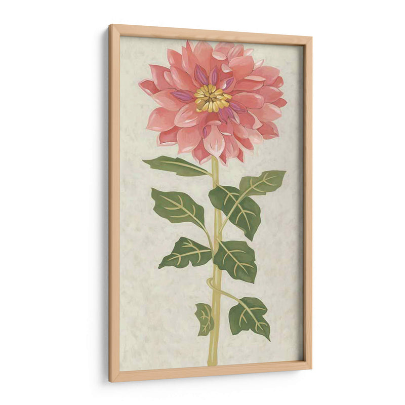 Dahlia Ii No Adornada - Chariklia Zarris | Cuadro decorativo de Canvas Lab