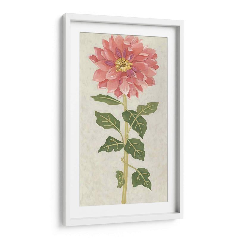 Dahlia Ii No Adornada - Chariklia Zarris | Cuadro decorativo de Canvas Lab