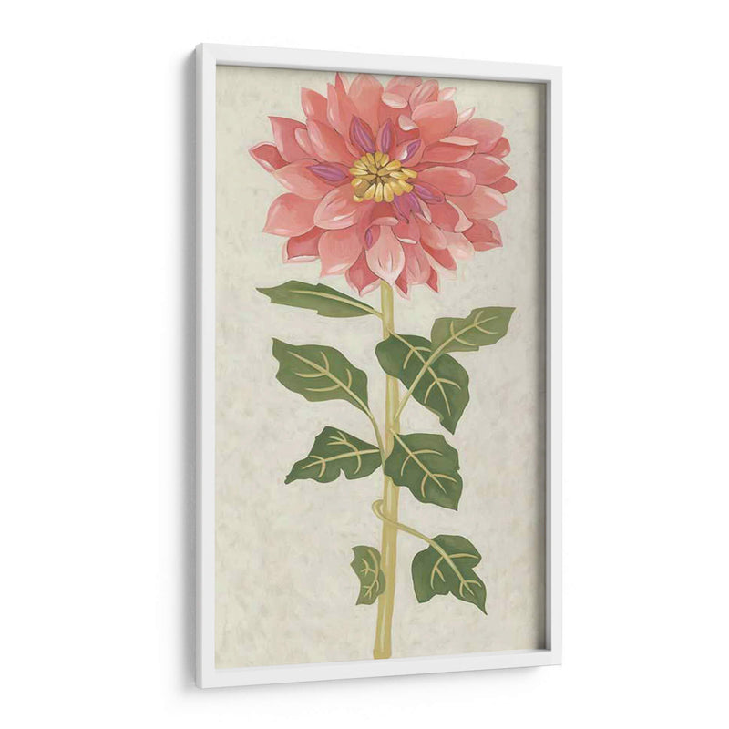 Dahlia Ii No Adornada - Chariklia Zarris | Cuadro decorativo de Canvas Lab