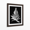 Piña Noir I - Vision Studio | Cuadro decorativo de Canvas Lab