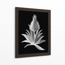 Piña Noir I - Vision Studio | Cuadro decorativo de Canvas Lab