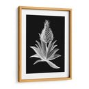 Piña Noir I - Vision Studio | Cuadro decorativo de Canvas Lab