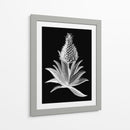 Piña Noir I - Vision Studio | Cuadro decorativo de Canvas Lab