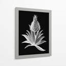 Piña Noir I - Vision Studio | Cuadro decorativo de Canvas Lab