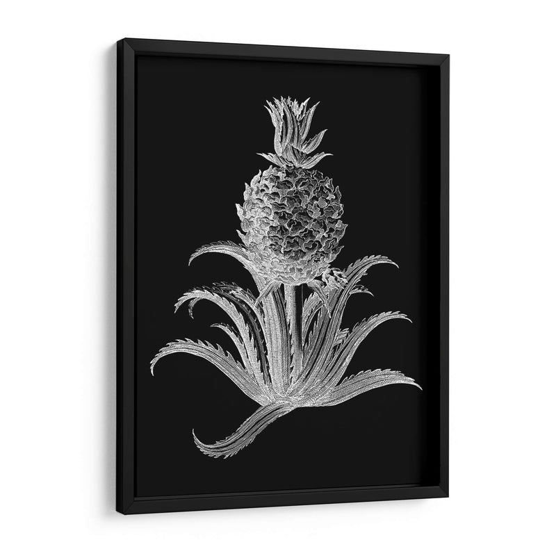 Piña Noir Ii - Vision Studio | Cuadro decorativo de Canvas Lab