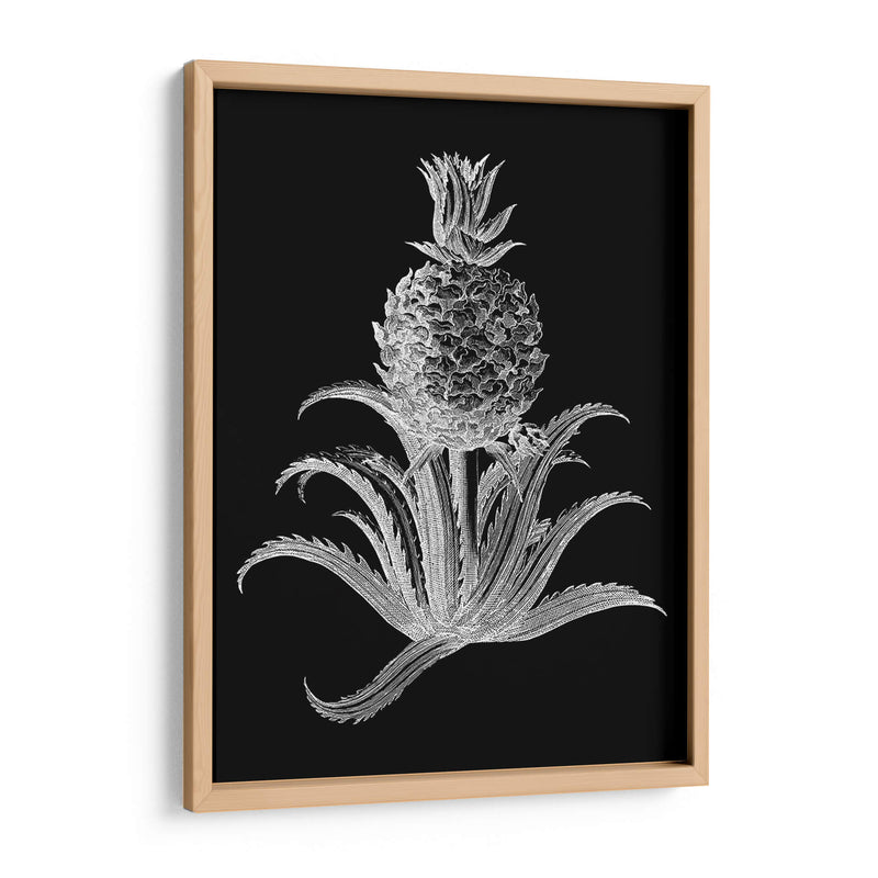 Piña Noir Ii - Vision Studio | Cuadro decorativo de Canvas Lab