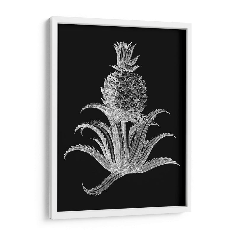 Piña Noir Ii - Vision Studio | Cuadro decorativo de Canvas Lab