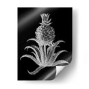 Piña Noir Ii - Vision Studio | Cuadro decorativo de Canvas Lab