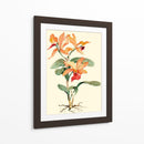 Orquídea Naranja - Joy Waldman | Cuadro decorativo de Canvas Lab