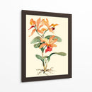 Orquídea Naranja - Joy Waldman | Cuadro decorativo de Canvas Lab