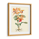 Orquídea Naranja - Joy Waldman | Cuadro decorativo de Canvas Lab