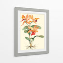 Orquídea Naranja - Joy Waldman | Cuadro decorativo de Canvas Lab