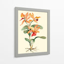 Orquídea Naranja - Joy Waldman | Cuadro decorativo de Canvas Lab