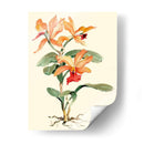 Orquídea Naranja - Joy Waldman | Cuadro decorativo de Canvas Lab