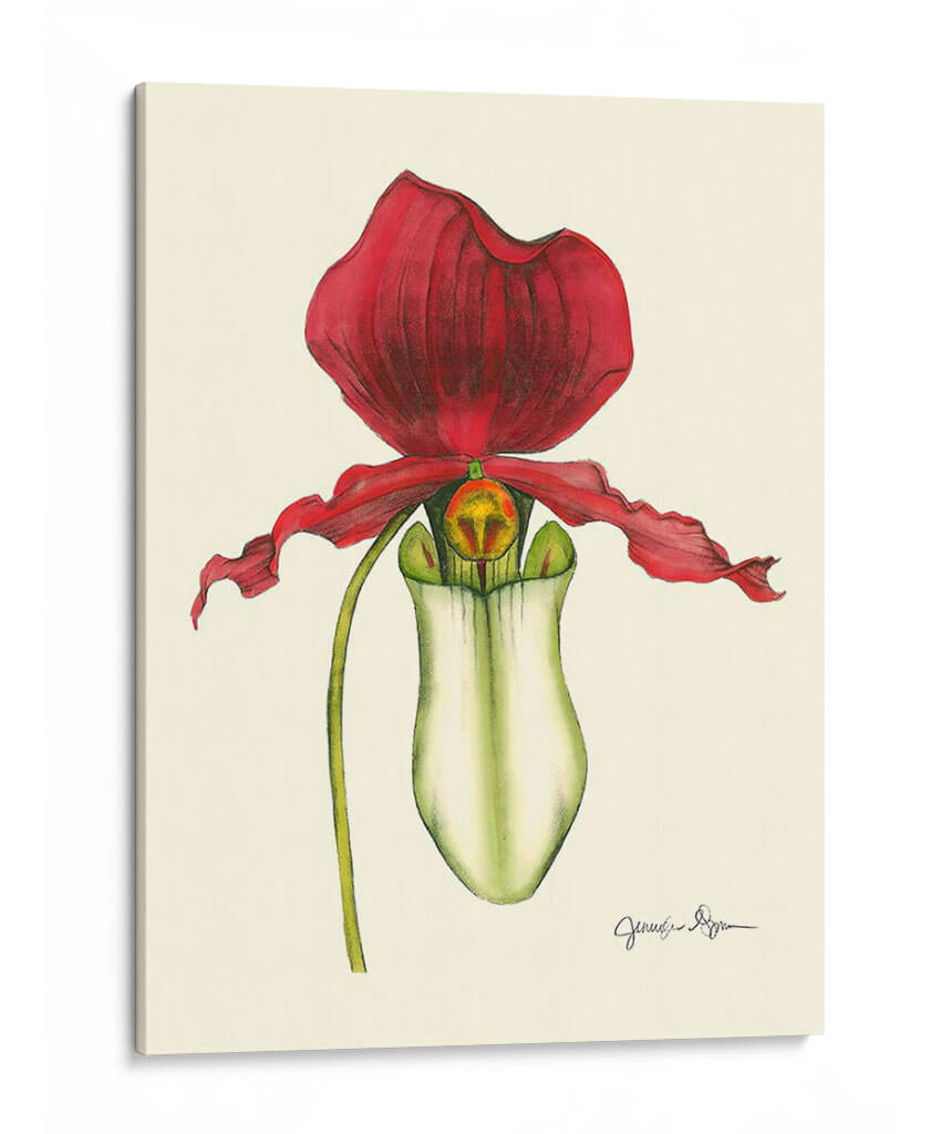 Majestuosa Orquídea Yo - Jennifer Goldberger | Cuadro decorativo de Canvas Lab