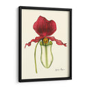 Majestuosa Orquídea Yo - Jennifer Goldberger | Cuadro decorativo de Canvas Lab