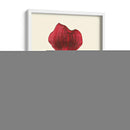 Majestuosa Orquídea Yo - Jennifer Goldberger | Cuadro decorativo de Canvas Lab