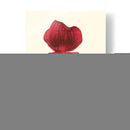 Majestuosa Orquídea Yo - Jennifer Goldberger | Cuadro decorativo de Canvas Lab