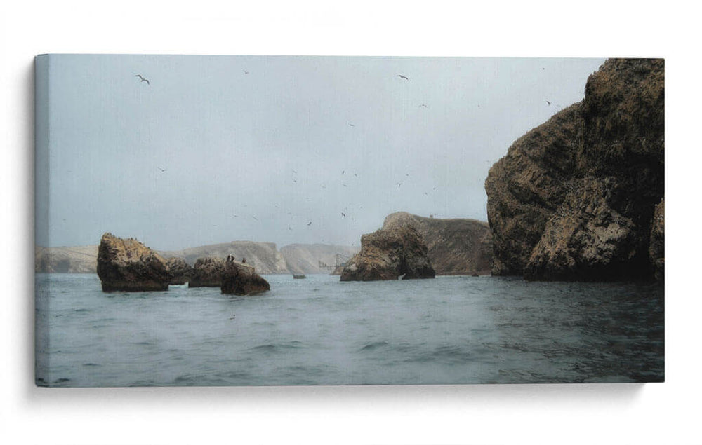 Islas Ballestas 3 - Ariadne Contreras | Cuadro decorativo de Canvas Lab