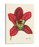 Majestuosa Orquídea Iii - Jennifer Goldberger | Cuadro decorativo de Canvas Lab