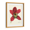 Majestuosa Orquídea Iii - Jennifer Goldberger | Cuadro decorativo de Canvas Lab