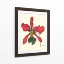Majestuosa Orquídea Iv - Jennifer Goldberger | Cuadro decorativo de Canvas Lab