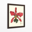 Majestuosa Orquídea Iv - Jennifer Goldberger | Cuadro decorativo de Canvas Lab