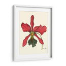 Majestuosa Orquídea Iv - Jennifer Goldberger | Cuadro decorativo de Canvas Lab