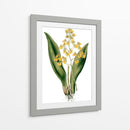 Orquídeas Ii - Drake | Cuadro decorativo de Canvas Lab