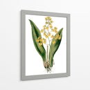 Orquídeas Ii - Drake | Cuadro decorativo de Canvas Lab