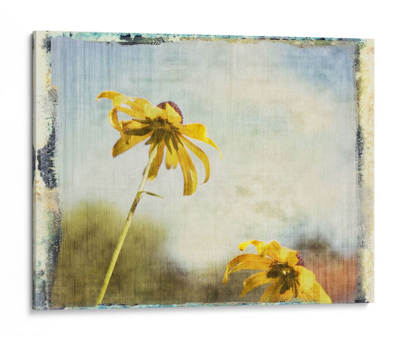 Susans De Blackeyed - Meghan McSweeney | Cuadro decorativo de Canvas Lab