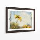 Susans De Blackeyed - Meghan McSweeney | Cuadro decorativo de Canvas Lab