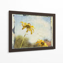 Susans De Blackeyed - Meghan McSweeney | Cuadro decorativo de Canvas Lab