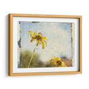 Susans De Blackeyed - Meghan McSweeney | Cuadro decorativo de Canvas Lab