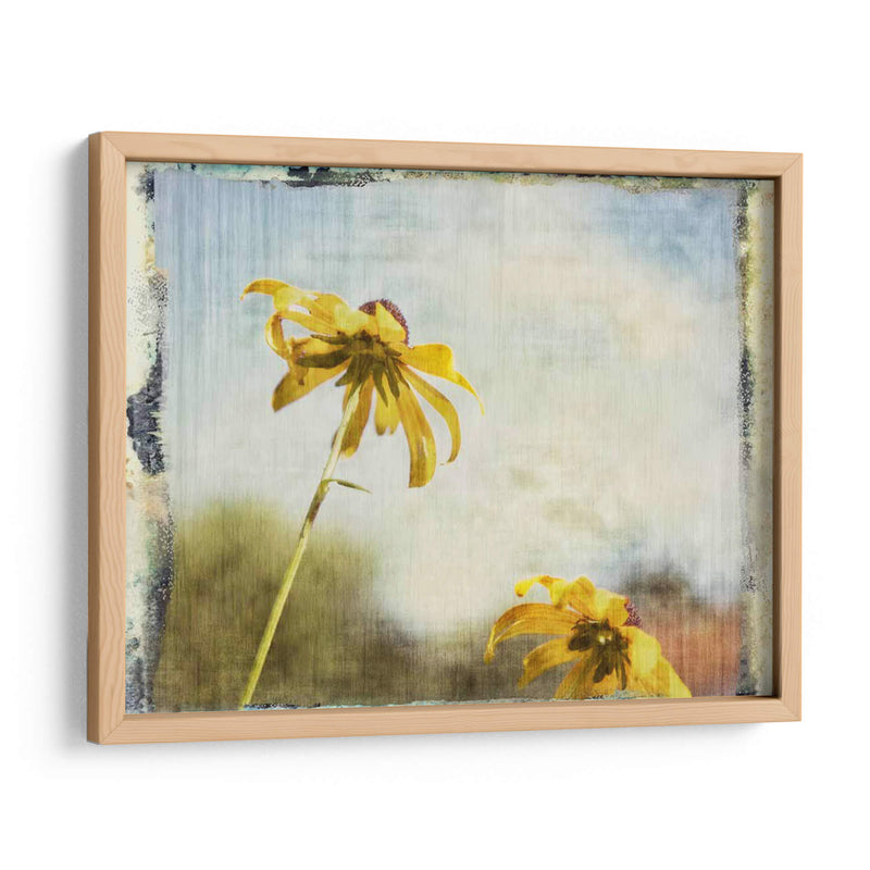 Susans De Blackeyed - Meghan McSweeney | Cuadro decorativo de Canvas Lab