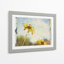 Susans De Blackeyed - Meghan McSweeney | Cuadro decorativo de Canvas Lab