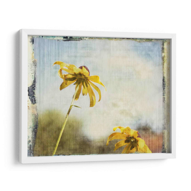 Susans De Blackeyed - Meghan McSweeney | Cuadro decorativo de Canvas Lab