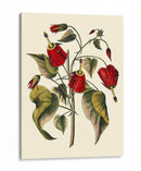 Flores De Jennas I - Sellier | Cuadro decorativo de Canvas Lab