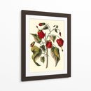 Flores De Jennas I - Sellier | Cuadro decorativo de Canvas Lab