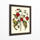 Flores De Jennas I - Sellier | Cuadro decorativo de Canvas Lab