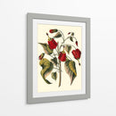 Flores De Jennas I - Sellier | Cuadro decorativo de Canvas Lab