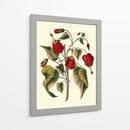 Flores De Jennas I - Sellier | Cuadro decorativo de Canvas Lab