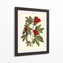 Jennas Flowers Ii - Sellier | Cuadro decorativo de Canvas Lab