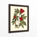 Jennas Flowers Ii - Sellier | Cuadro decorativo de Canvas Lab