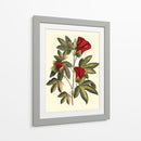 Jennas Flowers Ii - Sellier | Cuadro decorativo de Canvas Lab
