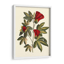 Jennas Flowers Ii - Sellier | Cuadro decorativo de Canvas Lab