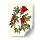 Jennas Flowers Ii - Sellier | Cuadro decorativo de Canvas Lab