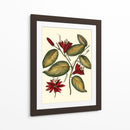 Jennas Flowers Iii - Sellier | Cuadro decorativo de Canvas Lab