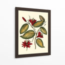 Jennas Flowers Iii - Sellier | Cuadro decorativo de Canvas Lab