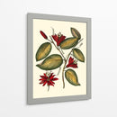 Jennas Flowers Iii - Sellier | Cuadro decorativo de Canvas Lab